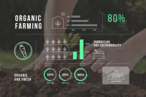 organic farming steps