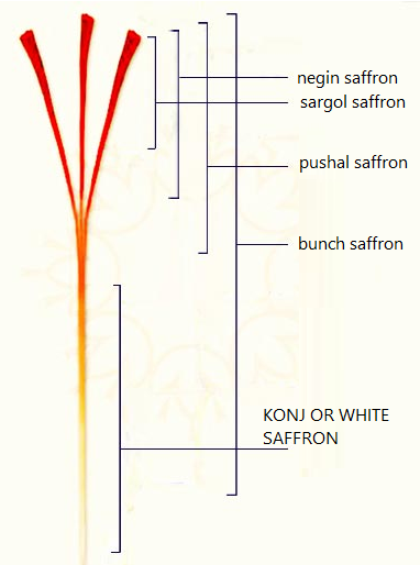 types of saffron