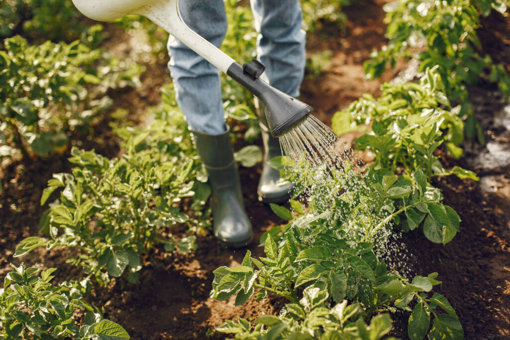 organic farming