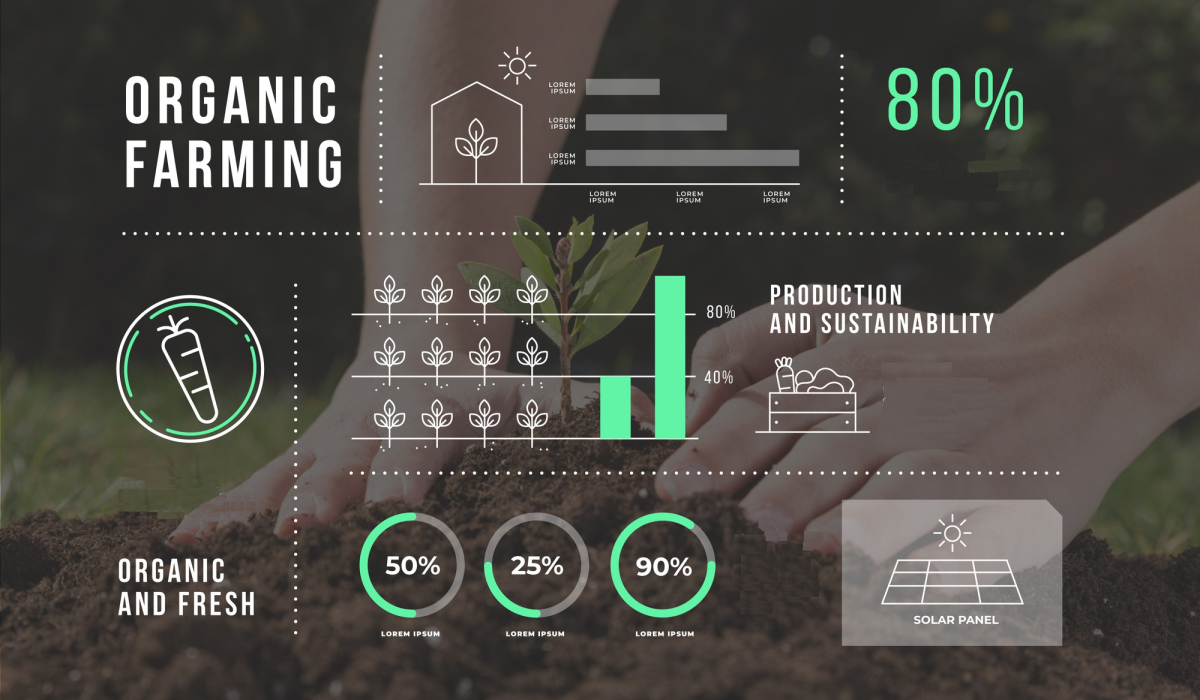 organic farming steps